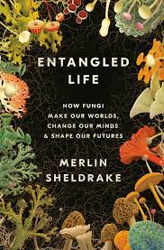 entangled-life entangled-life