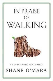 in-praise-of-walking