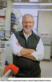 neil-shubin