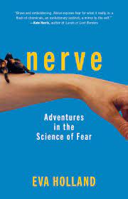 nerve nerve