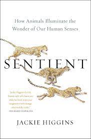 sentient sentient