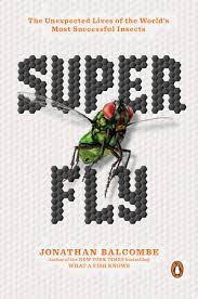 super-fly