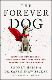 the-forever-dog the-forever-dog