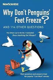 why-dont-penguins-feet-freeze